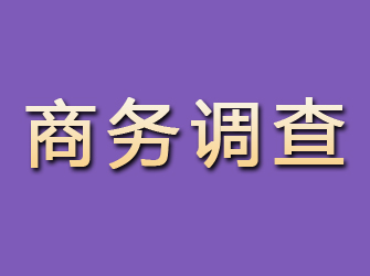 高州商务调查